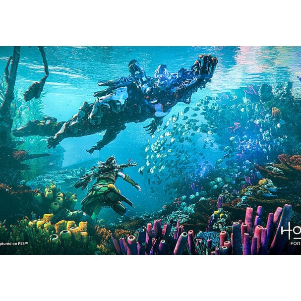 Nuvana Tech Nigeria Horizon Forbidden West - PlayStation